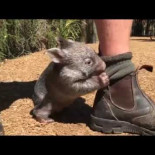 No se lo que es pero quiero uno :|