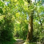 El sangrante caso que resume todos los males de España