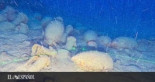 Un barco romano del siglo II a.C. con ánforas de vino, hallado a 92 metros de profundidad en Sicilia