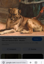 Perros del arte