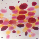 Calamar 8x vs. Cypress Hill ¡Alucinante!