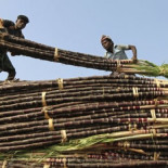 La pobreza consume las capacidades mentales (Experimentos publicados en Science)