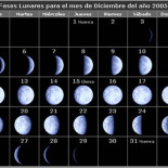 ¿Por qué las semanas tienen siete días?