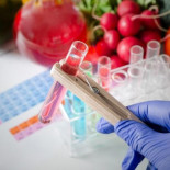 Los test masivos de intolerancia alimentaria son una estafa