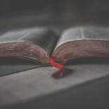 ¿Qué libro español tiene una gran serie en potencia que todavía no se ha hecho?