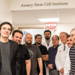 Crean por fin células madre de la sangre