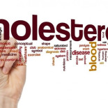 El colesterol es nuestro amigo
