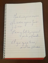 Meneantes poetas I: Alfredo