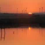 Las energías renovables ahorran a Europa más dinero del que reciben