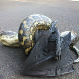 37 fotos que demuestran que Australia es la más peligrosa [ENG]