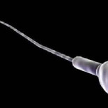 Las propiedades del semen: ¿Mito o realidad?