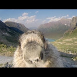 Greenpeace estaba grabando un "time lapse" cuando de pronto...