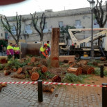 El Ayuntamiento de Sevilla desata la 'guerra del árbol'