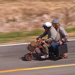 Los confines de la estupidez humana