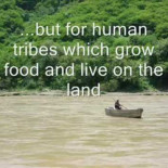 Desarrollan combustible a partir del CO2 en el aire