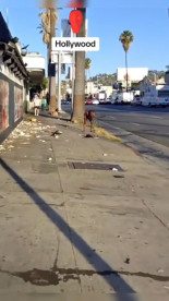 Así luce actualmente la Avenida de las Estrellas de Hollywood