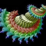 Modulando geométricamente la dimensión y las características espaciales de un fractal. Punto característico