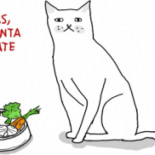 Diferencias entre ironía y sarcasmo