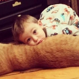 Un gato abandonado se convierte en el guardián de este niño pequeño siguiéndole a todas partes