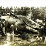 Vete a ver la ballena