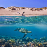 Premios fotografía Sony 2013. (eng)