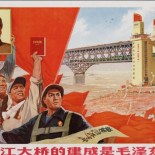 La fauna del Yangtsé, crónica de un desastre silencioso