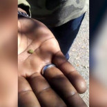 Marihuana con vida propia camina por sí misma