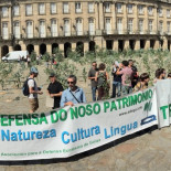Una plantación de eucaliptos en la plaza del Obradoiro (GAL)