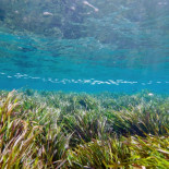Un mar diferente: El cambio climático en el Mediterráneo