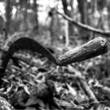 Mitología y tradición oral en un pueblo perdido de Galicia