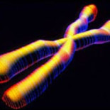 El niño que fue criado como niña