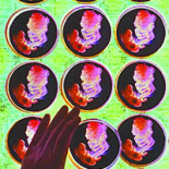 Control de calidad (los nazis no nacieron de un repollo)