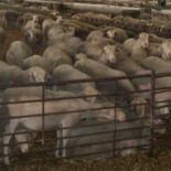 Multitud de cargos en el Ayuntamiento de Madrid a precio de super ejecutivo