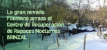 La gran nevada Filomena arrasa el Centro de Recuperación de Rapaces Nocturnas BRINZAL