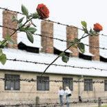 Las víctimas olvidadas de la Segunda Guerra Mundial