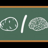 Por qué cada vez hay más incompetentes (una explicación matemática)