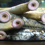 Publico.es atribuye una foto mía a EFE... ¡y además es errónea!