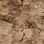 Descubierto gigantesco acuífero en Kenia