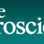 ¿Que la acupuntura funciona? Pues va a ser que no...