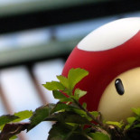 Descubierto un hongo que come poliuretano [ENG]