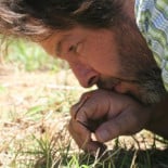 Un paseo con el rey de las hormigas