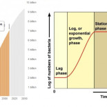 Crecimiento infinito: nosotros somos la plaga