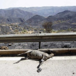 Hemos ardido por encima de nuestras posibilidades