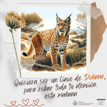 La tristeza de la IA