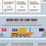 La verdad oculta de las plantaciones de soja [Infografía]
