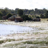 Hay algo en esta foto... (ENG)