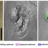 Una controvertida huella sugiere que los primeros humanos recorrieron Creta hace 6 millones de años [ENG]