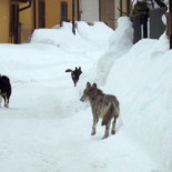 Italia se queda sin gas frente al frío