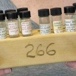 Reaparecen los 'polvos perdidos de la Luna'