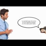 ¿Podremos algún día hablar con los animales?